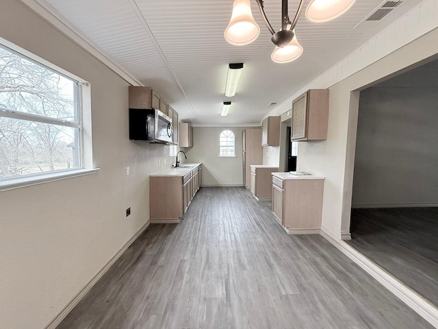 kitchen featuring light wood-type flooring, sink, and ornamental molding