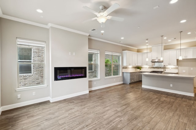 kitchen with pendant lighting, white cabinetry, light hardwood / wood-style floors, and a center island with sink