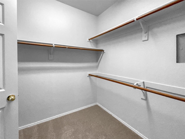 spacious closet featuring carpet