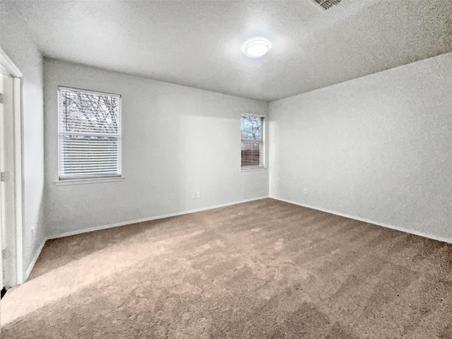 carpeted empty room featuring a wealth of natural light and a textured ceiling