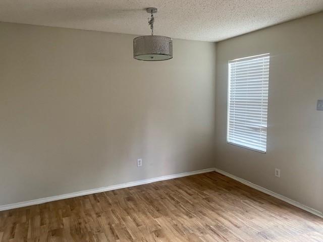 empty room featuring hardwood / wood-style flooring, a textured ceiling, and a wealth of natural light