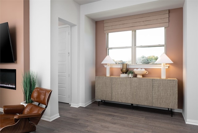 interior space with dark hardwood / wood-style floors