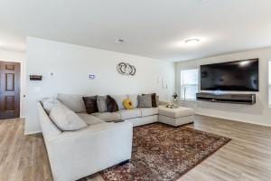 living room with hardwood / wood-style floors