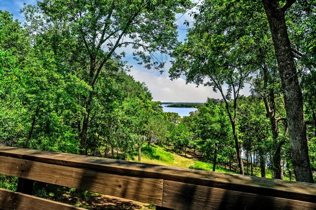 40 Zumwalt Cir, Pottsboro, TX 75076 - surrounding community featuring a water view