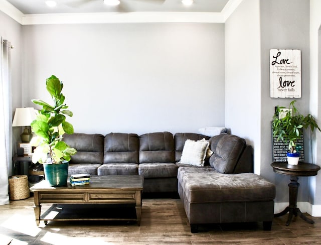 living area with recessed lighting, ornamental molding, and wood finished floors