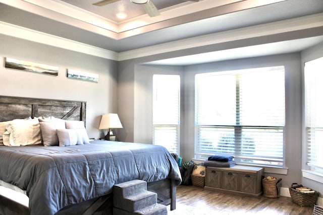 bedroom featuring crown molding, a raised ceiling, and wood finished floors