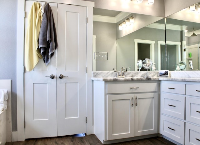 bathroom featuring vanity and wood-type flooring