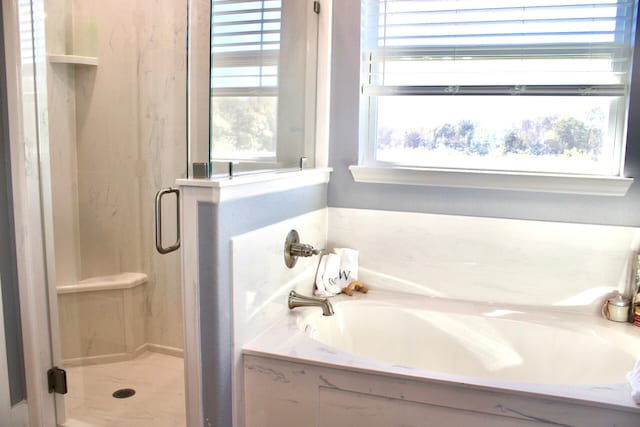 bathroom with a garden tub and a stall shower