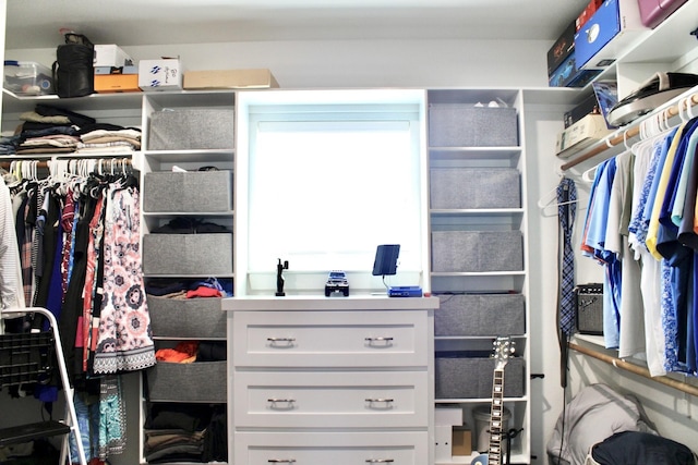 view of spacious closet