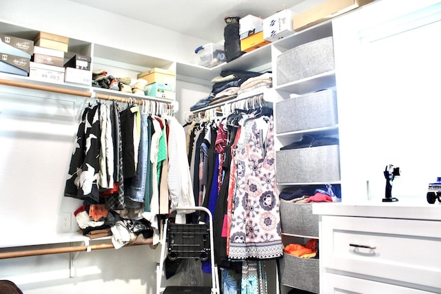 view of spacious closet