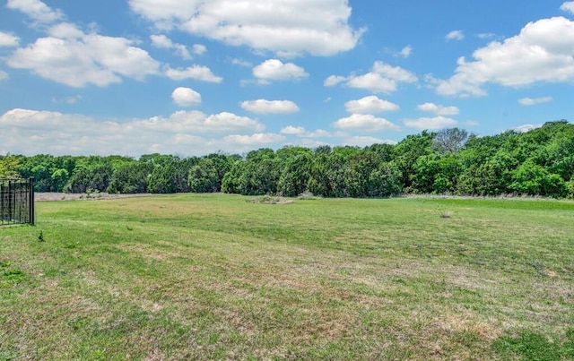 view of yard with a rural view and a forest view