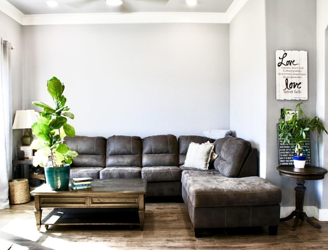 living room featuring crown molding and dark wood-type flooring