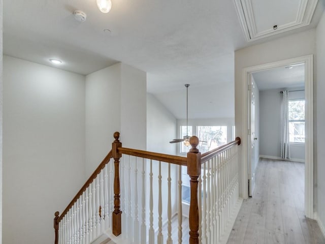 hallway featuring a wealth of natural light, light hardwood / wood-style flooring, vaulted ceiling, and ornamental molding