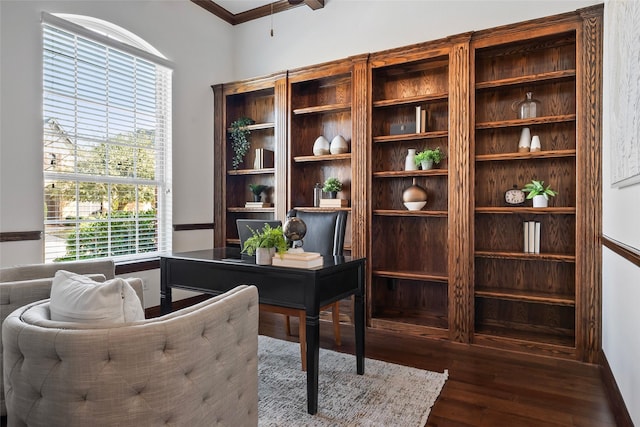 office featuring crown molding and dark hardwood / wood-style flooring