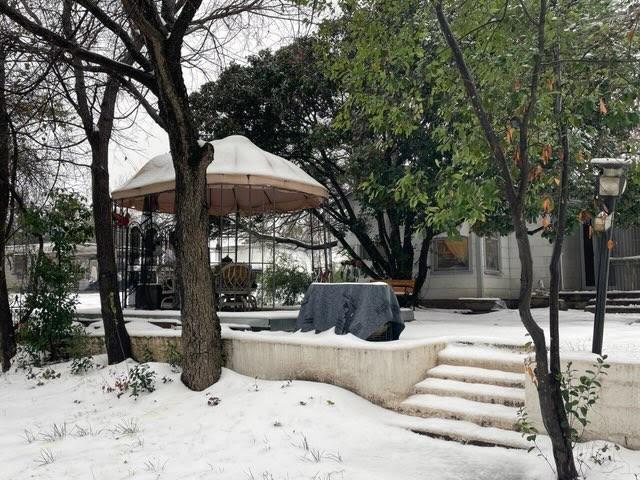 view of yard layered in snow