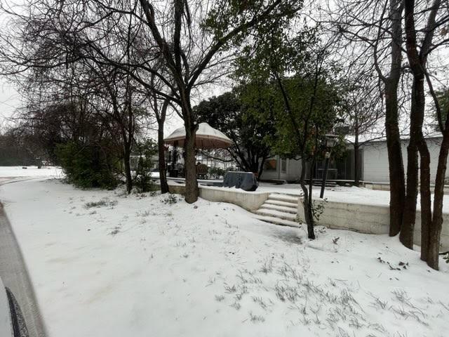 view of snowy yard