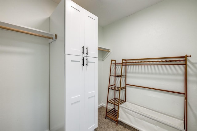 spacious closet featuring carpet