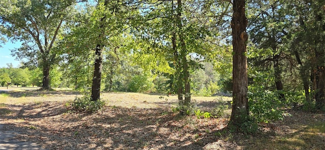 Listing photo 3 for 145 Rs County Road 4265, Emory TX 75440