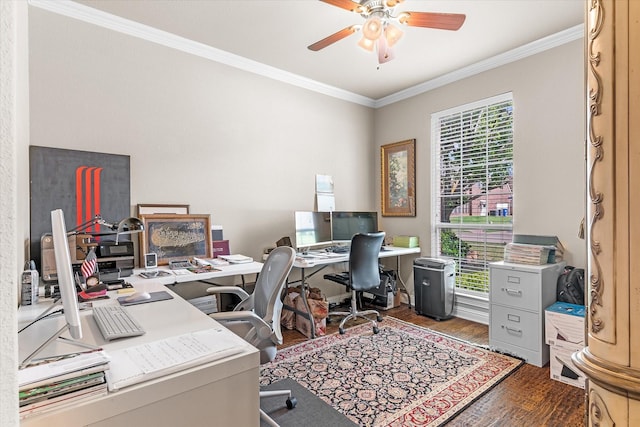 office area with ceiling fan, crown molding, and dark wood-type flooring