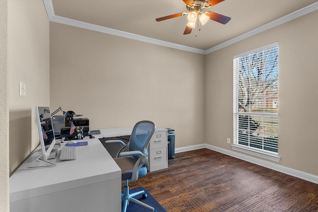 office with dark hardwood / wood-style floors, ceiling fan, and ornamental molding