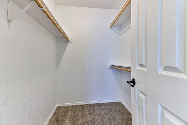 walk in closet with carpet flooring