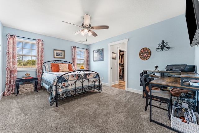 carpeted bedroom with ceiling fan and a walk in closet