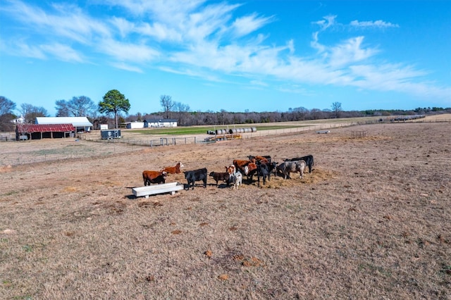 view of yard featuring a rural view