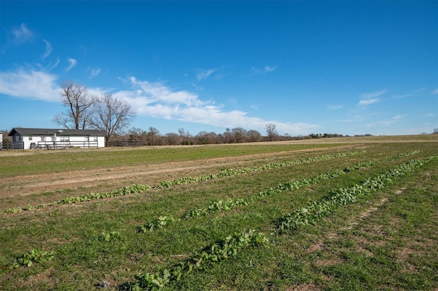 view of yard featuring a rural view