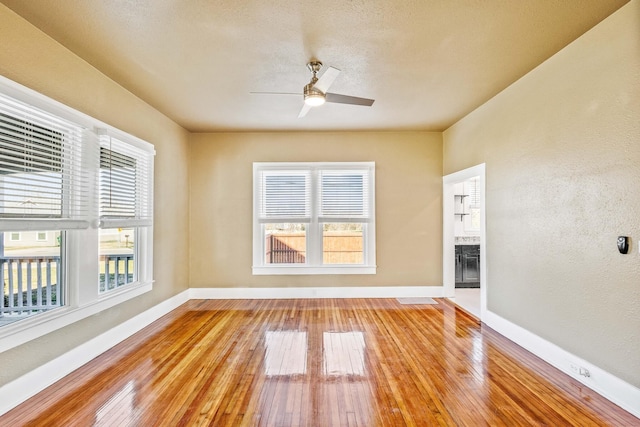 empty room featuring light hardwood / wood-style floors and ceiling fan