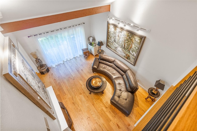 living room with wood-type flooring