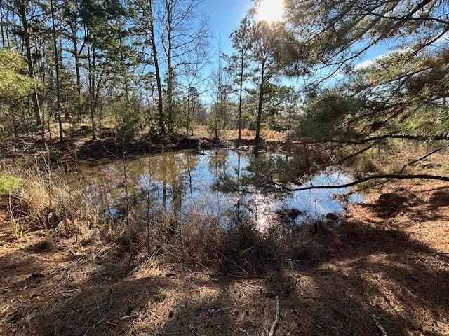 Listing photo 3 for 562 County Road 4430, Winnsboro TX 75494