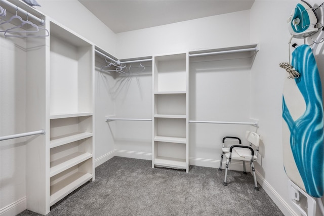 spacious closet featuring carpet floors