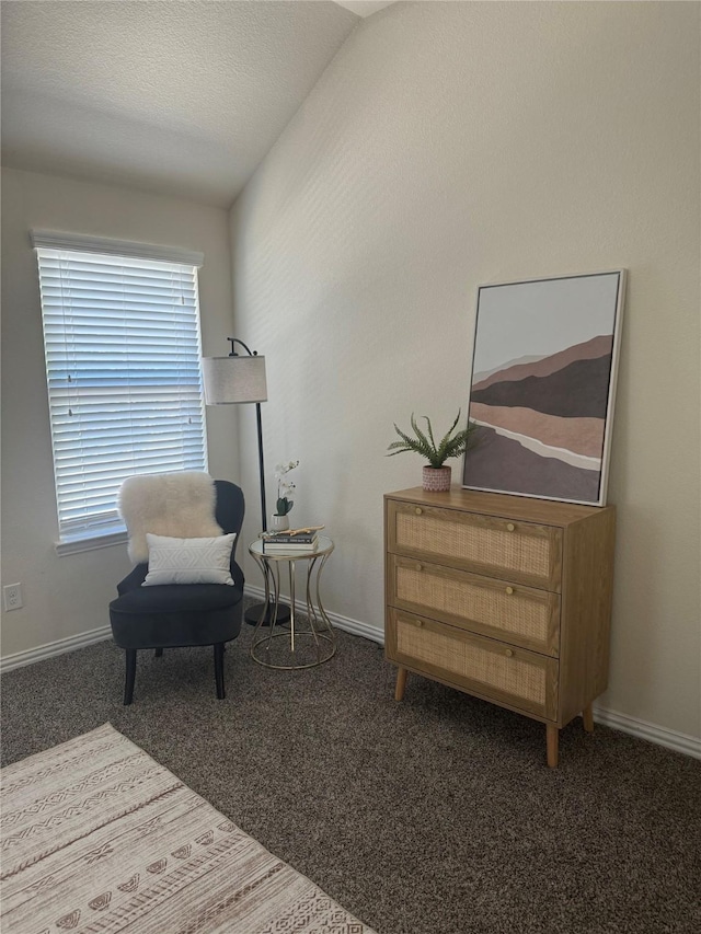 living area with a textured ceiling, dark carpet, and lofted ceiling