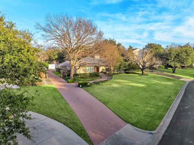 view of property's community with a yard