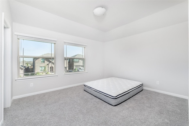 bedroom with carpet floors