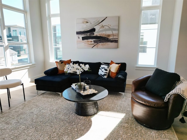 living room featuring hardwood / wood-style flooring