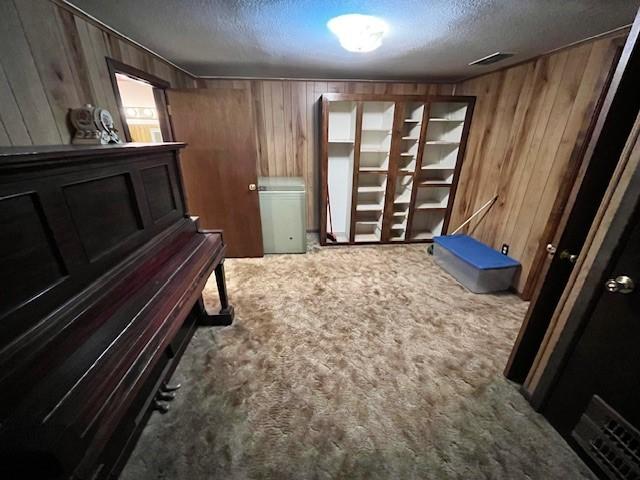 miscellaneous room featuring carpet, a textured ceiling, and wooden walls