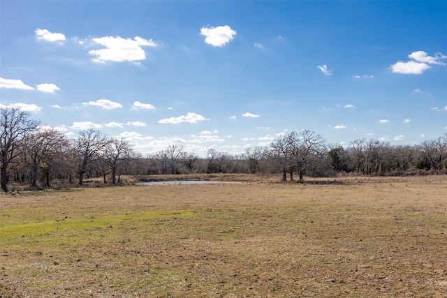 view of yard featuring a rural view