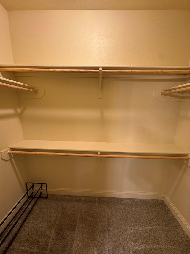 walk in closet with dark carpet