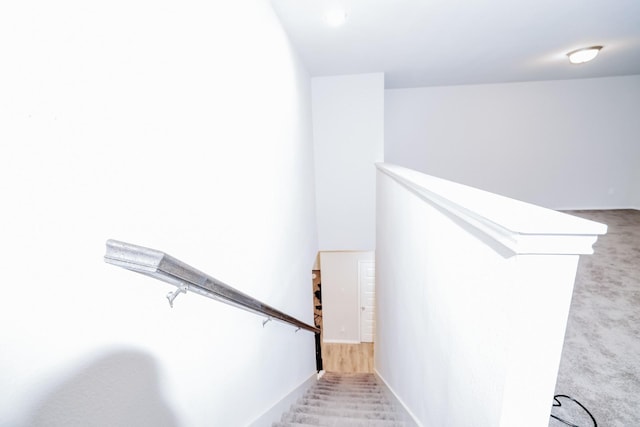 stairway with carpet floors