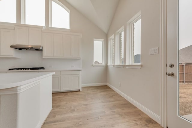 1224 Calebria Way, Fate, TX 75087 - kitchen featuring lofted ceiling, healthy amount of natural light, under cabinet range hood, light wood-style floors, and light countertops