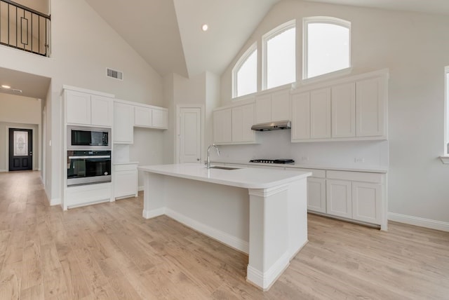 1224 Calebria Way, Fate, TX 75087 - kitchen featuring appliances with stainless steel finishes, high vaulted ceiling, a sink, under cabinet range hood, and white cabinets