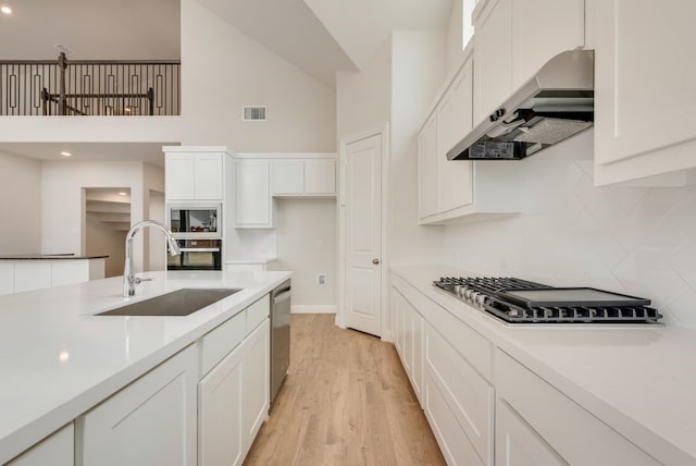 1224 Calebria Way, Fate, TX 75087 - kitchen featuring ventilation hood, a sink, high vaulted ceiling, backsplash, and appliances with stainless steel finishes