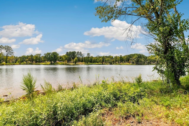 Listing photo 2 for LOT40 Big Rock Lake Rd, Hallsville TX 75650