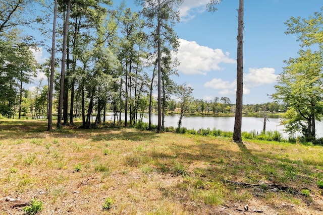 Listing photo 3 for LOT40 Big Rock Lake Rd, Hallsville TX 75650