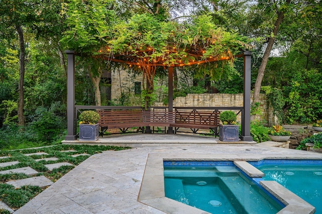 view of swimming pool with a patio area and an in ground hot tub