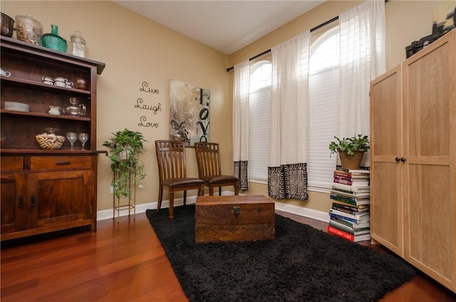 sitting room featuring dark wood-type flooring