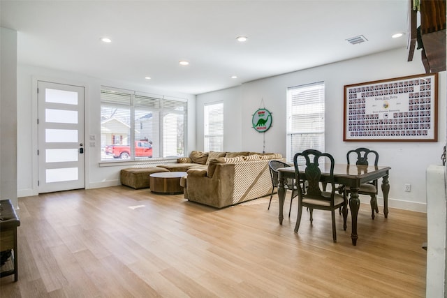 living room featuring light wood-type flooring and a healthy amount of sunlight