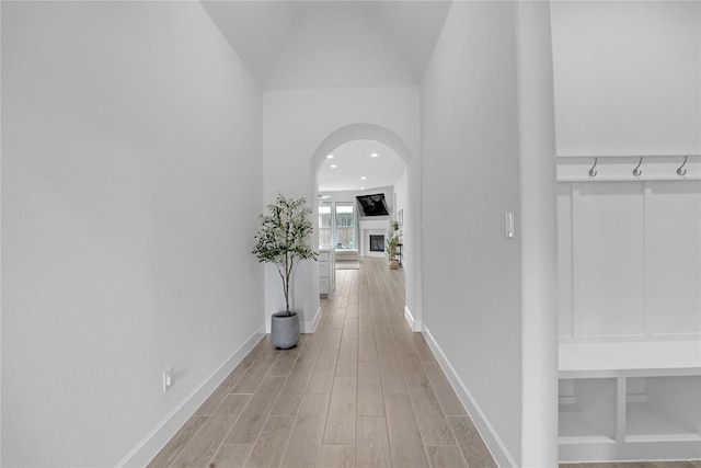 hall with lofted ceiling and hardwood / wood-style flooring