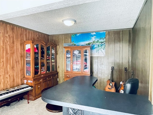 interior space with wooden walls and a textured ceiling